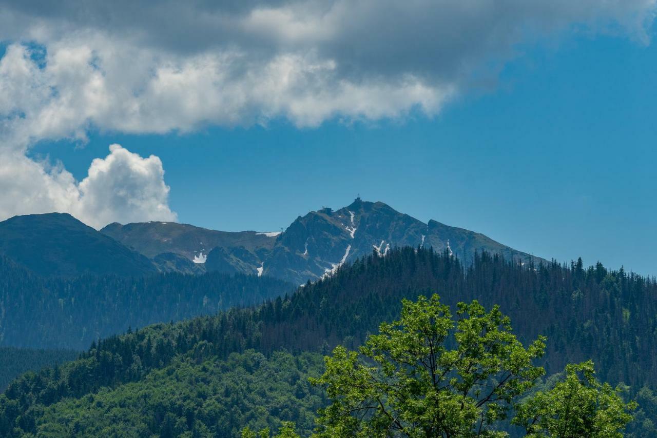 Willa Rychlina Zakopane Exteriér fotografie